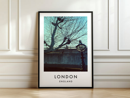 Thames Embankment Bare Tree Victorian Lamp Post - London analogue photography poster print on white panelled wall